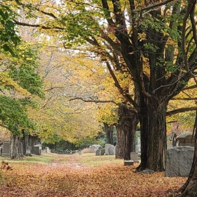 Elm Grove Cemetery